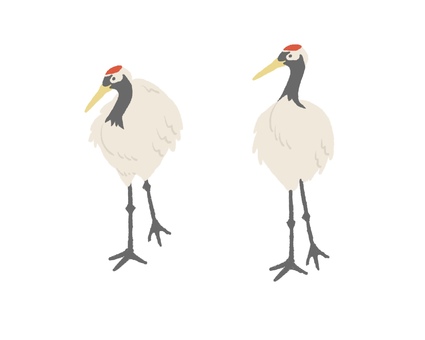 ツル01 ツル01 鶴,ツル,丹頂,タンチョウ,鳥,鳥類,動物,日本,和風,ナチュラルのイラスト素材