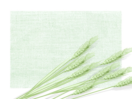 青々した緑の麦穂と麻布の背景　017 麦穂,青々,リアル,緑,ナチュラル,お洒落,自然,植物,大人っぽい,枠のイラスト素材
