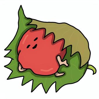 Illustration, сушеные сливы, базилик, большие листья, 