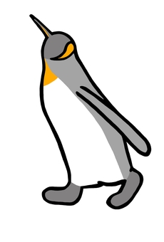歩くキングペンギン 上を見る 歩くキングペンギン 上を見る キングペンギン,オウサマペンギン,ペンギン,鳥,黒,白,グレー,羽,フリッパー,足のイラスト素材