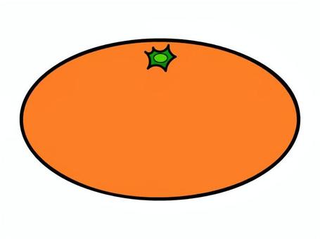 みかん みかん,ビタミンc,柑橘,柑橘類,フルーツ,果物,デザート,冬,オレンジのイラスト素材