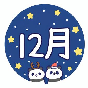 パンダとクリスマスの冬の12月 パンダ,動物,12,月,暦,月刊,シンプル,かわいい,ゆるい,見出しのイラスト素材