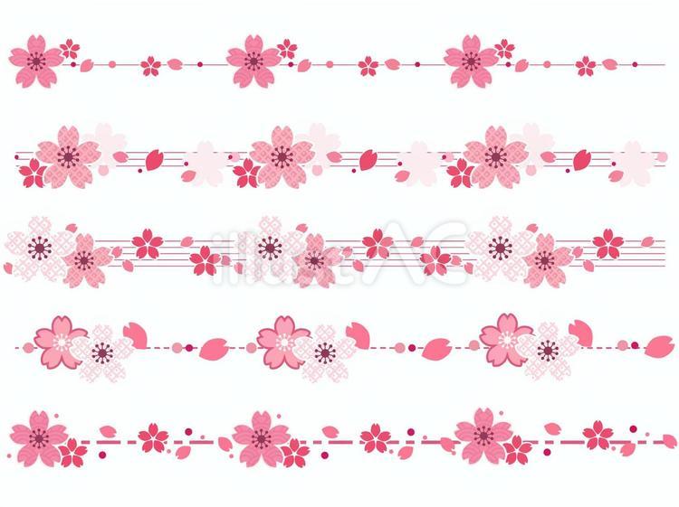 和風さくらの装飾ライン 桜,区切り線,ラインのイラスト素材