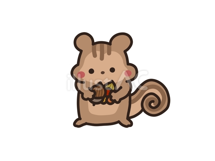 木の実を持ったリス リス,動物,生き物のイラスト素材