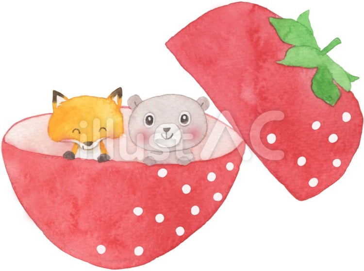 いちごの入れ物 いちご,入れ物,くまのイラスト素材