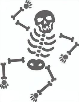 ほね ほね,人骨,がいこつ,骨格,頭蓋骨のイラスト素材