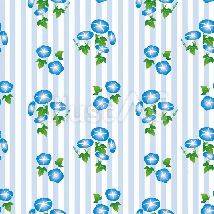 朝顔の壁紙（青） 朝顔,花,壁紙のイラスト素材