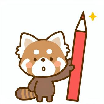 赤鉛筆を持ったレッサーパンダ レッサーパンダ,鉛筆,持つ,添削,お知らせ,情報,赤ペン,チェック,文房具,勉強のイラスト素材