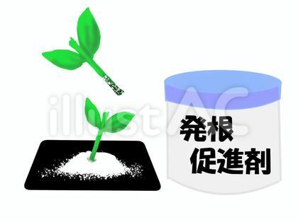 粉末タイプの発根促進剤