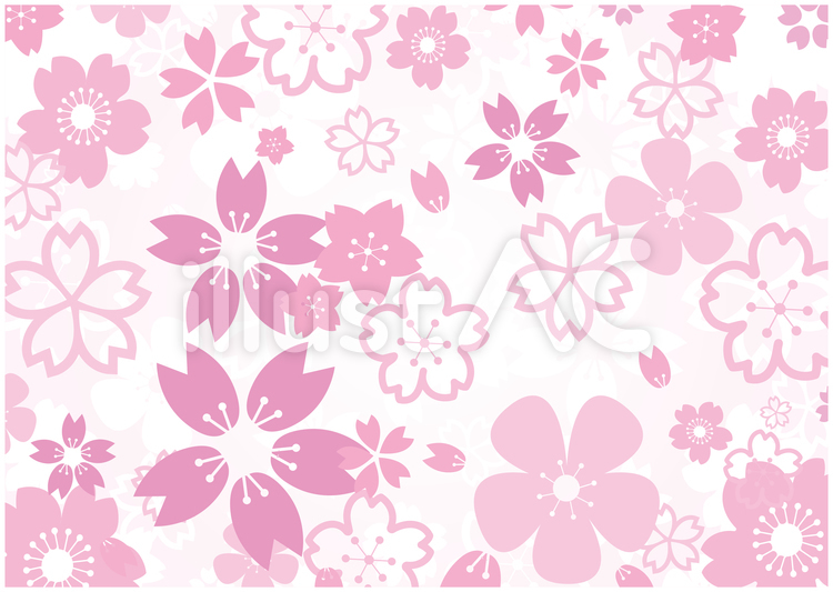 桜の花　背景 桜,春,花のイラスト素材