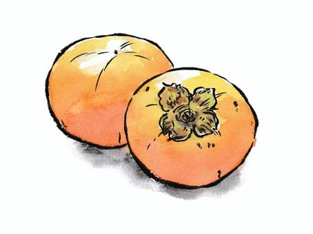 秋の味覚　絵手紙風の柿 柿,食べ物,果物,木の実,秋,11月,秋の味覚,干し柿,絵手紙,毛筆のイラスト素材