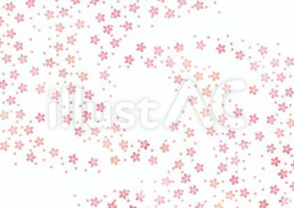桜が舞う