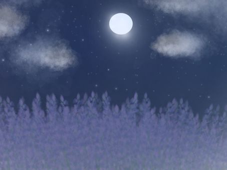 月夜野ラベンダー畑
