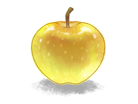 つやぷる梨 果物,梨,ナシ,黄色,ツヤツヤ,やさしい,手描き,影,カラー,カラフルのイラスト素材