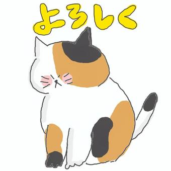 よろしく♪ かわいい,よろしく,お願い,挨拶,お辞儀,ねこ,動物,いきもの,ペット,メッセージのイラスト素材