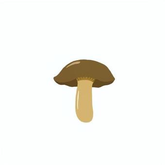 ホンシメジ ホンシメジ,本占地,キノコ,食用,食べ物,食材,シンプル,手描き,手書き,イラストのイラスト素材