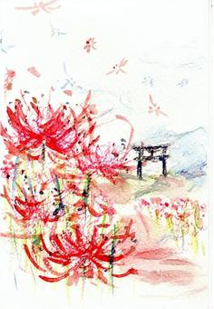 秋 秋,彼岸花,大神神社,奈良県,桜井市,水彩画,願彩,トンボ,鳥居,風景のイラスト素材