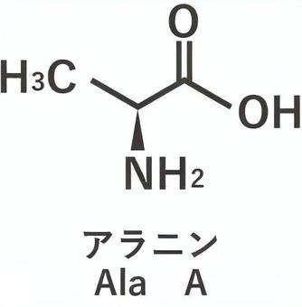 アラニン アミノ酸,成分,構造式,化学式,栄養素のイラスト素材