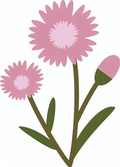 撫子（なでしこ） ナデシコ,花,秋,七草,ピンク,シンプルのイラスト素材