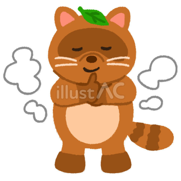 呪文を唱えて変身途中のかわいいたぬき たぬき,動物,変身のイラスト素材