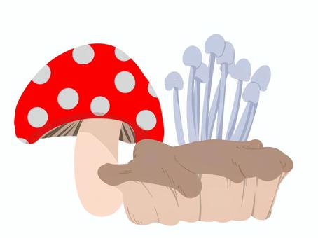 キノコ キノコ,秋の味覚,毒,ワンポイント,水玉のイラスト素材