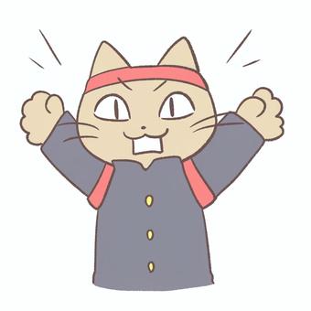 応援団の猫 猫,かわいい,ゆるい,手書き,顔,表情,応援,学ラン,声援,叫ぶのイラスト素材