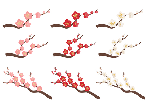 梅の花セット_花枝 梅,梅の花,枝,紅梅,セット,白梅,つぼみ,蕾,花,桃色のイラスト素材