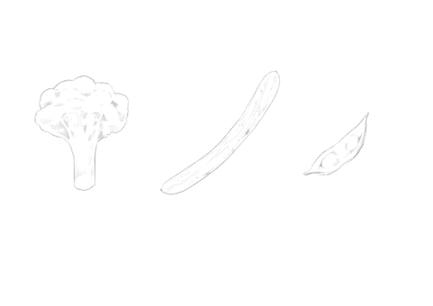 野菜イラスト2(線画) 野菜,ブロッコリー,きゅうり,キュウリ,胡瓜,枝豆,鉛筆風,食材,食べ物,フリーハンドのイラスト素材