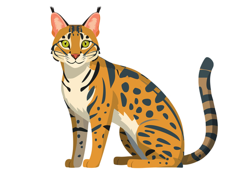 サーベルキャットのイラスト