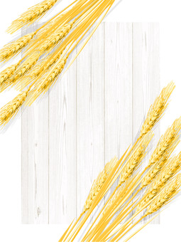 黄金色の麦穂と板の背景1　mugi009 麦穂,黄金色,リアル,ナチュラル,お洒落,自然,植物,大人っぽい,枠,背景のイラスト素材