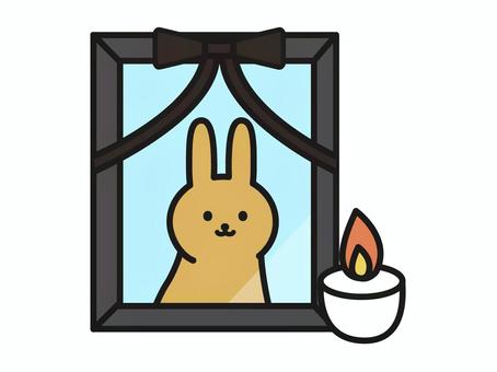 Illustration of a brown rabbit's funeral portrait and candles, JPG and PNG Illustration of a brown rabbit's funeral portrait and candles, a pet, rabbit, funeral, JPG and PNG