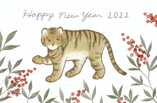 2020 寅年 年賀状 2020 寅年 年賀状 年賀状,お正月,寅年のイラスト素材