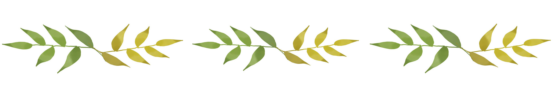 Illustration, leaf, line, plant, JPG and PNG