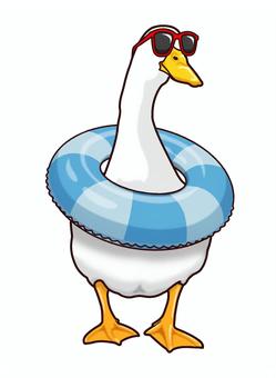 サングラスをかけたアヒルと浮き輪 アヒル,浮き輪,サングラス,夏,鳥,プール,海,夏休みのイラスト素材