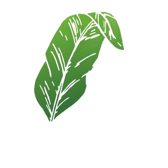White leaves, JPG and PNG White leaves, leaf, green, gradation, JPG and PNG