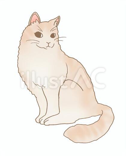 ねこ