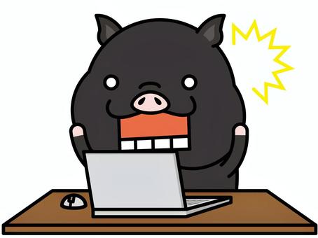 Illustration, black pig, pig, laptop, 