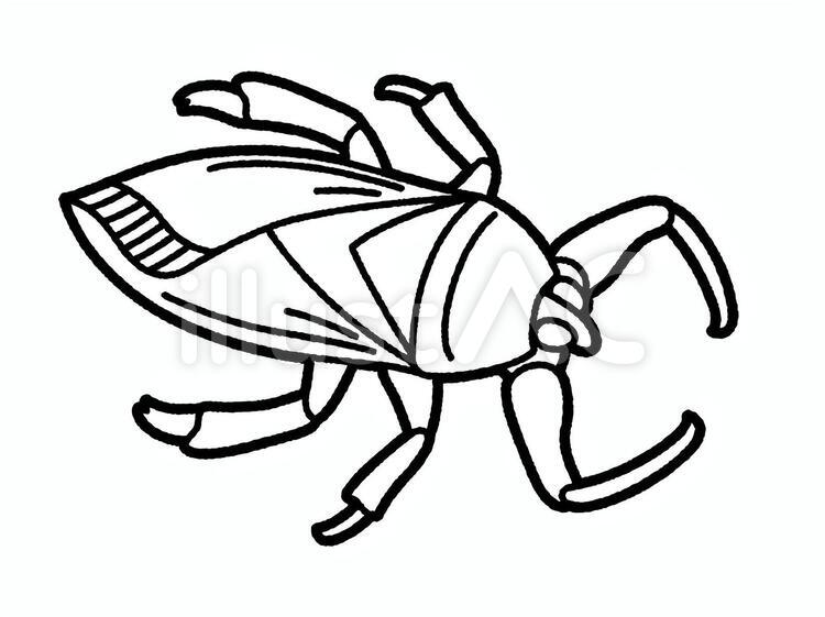 タガメ（線のみ） タガメ,昆虫,虫のイラスト素材