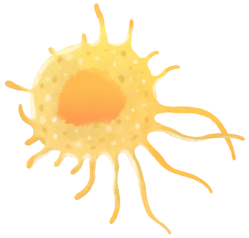 マクロファージ① マクロファージ,免疫,細胞,大食細胞,殺菌,貪食,白血球,医療,医学,顕微鏡のイラスト素材