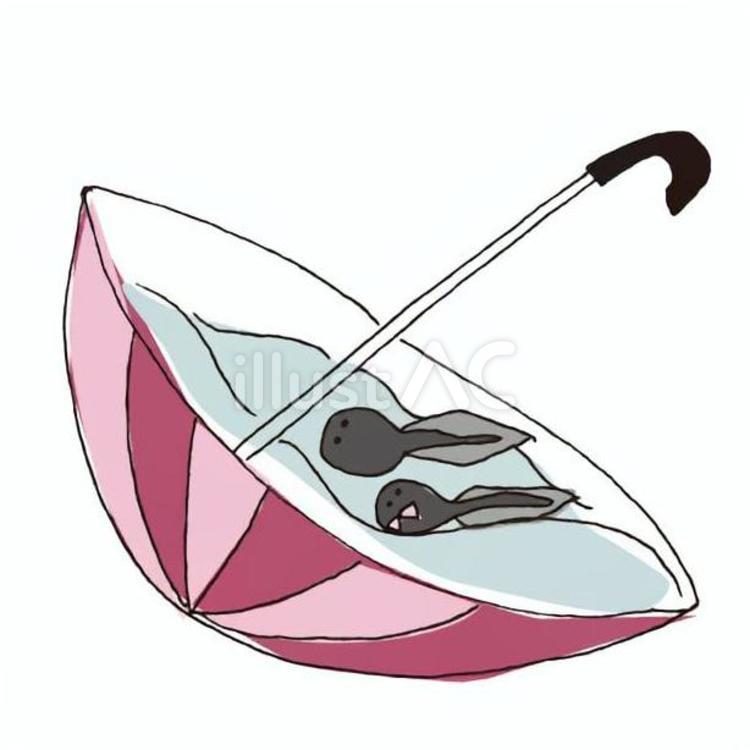 傘に溜まった雨水でおよぐオタマジャクシ 梅雨,雨,オタマジャクシのイラスト素材