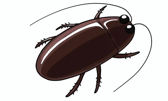 ゴキブリ　手描き風 昆虫,ゴキブリ,害虫,デフォルメ,ベクター,商用フリー,イラストのイラスト素材