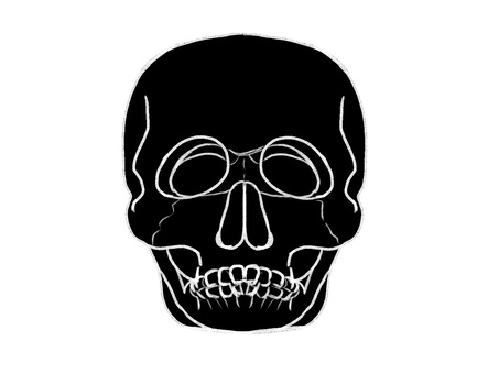 人の頭蓋骨シルエット 人の頭蓋骨シルエット 頭蓋骨,手描き,骨,正面,人体,ホラー,髑髏,しゃれこうべ,スカル,人骨のイラスト素材