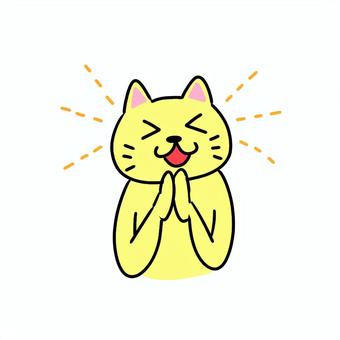 A cat clasping its hands in joy, , JPG and PNG