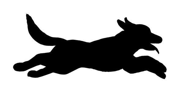 走る犬のシルエット - 3 犬,大型犬,洋犬,ゴールデンレトリバー,走る,走っている,はしゃぐ,動物,ペット,ドッグランのイラスト素材