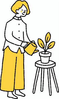 植物のお世話を楽しむ女性 植物,世話,楽しむ,女性,ジョーロ,主婦,一人暮らし,椅子,葉っぱ,植木鉢のイラスト素材