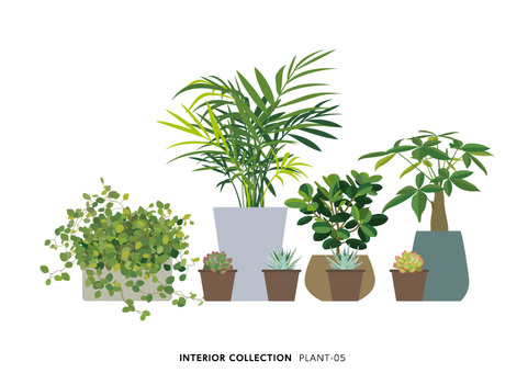 PLANT-05, JPG, PNG 和 AI PLANT-05, , JPG, PNG 和 AI