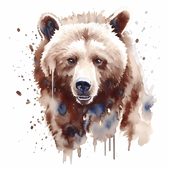 Brown bear warning!, brown bear, danger, wild, JPG and PNG