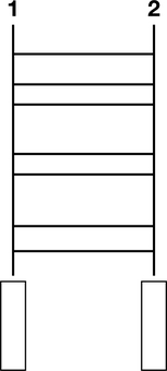 あみだくじa あみだくじ,ゲーム,パーティ,遊び,イベント,阿弥陀籤,抽選,運,大会,当たりのイラスト素材