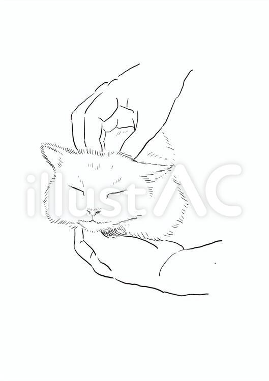 おでことあごを同時に掻かれる白猫 白猫,手描き風,モノクロのイラスト素材