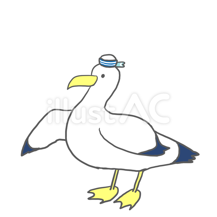 カモメの水兵さん カモメ,鳥,海鳥のイラスト素材